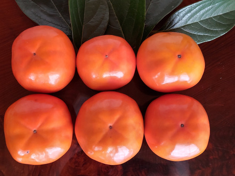 幻の柿「陽豊」（家庭用6.5kg）