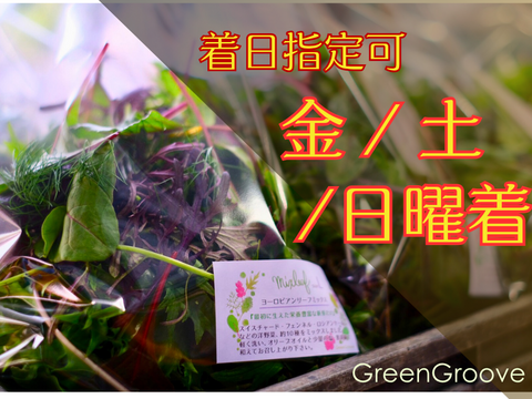 違いはわかります！G20サミット採用サラダ！10種のヨーロピアンリーフミックス【100gパック×7p】★金・土・日着専用★