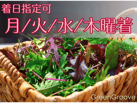 違いはわかります！G20サミット採用サラダ！10種のヨーロピアンリーフミックス【簡易包装500g×2p】▲月・火・水・木着専用▲