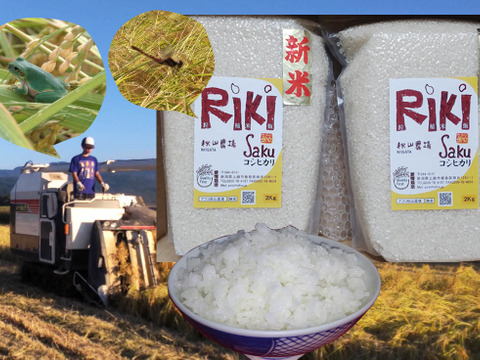【真空パック】『Riki-Saku』新潟コシヒカリ!2Kg×2袋-令和4年産（熨斗対応可）（毎日食べるお米はギフトにも最適）冷めると甘みが増します。