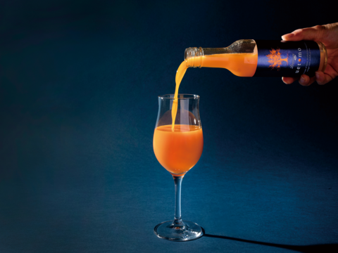 【母の日ギフト】 プレミアムみかんジュースギフトセット 500ml×2本