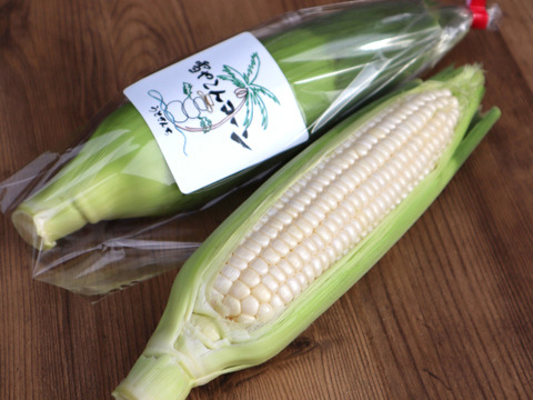 糖度20度超え!白いとうもろこし雪やこんコーン【6本】