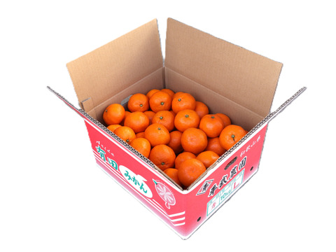 【冬ギフト】農家直送！有田みかん10kg≪Lサイズ 秀品≫【平武農園】～蛍飛ぶ町から旬の便り～　和歌山｜有田｜田口｜ギフト｜こだわり　産地直送　お取り寄せ