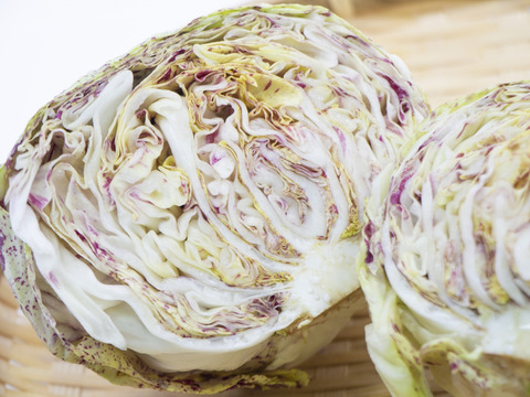 食卓に咲く「食べるバラ」。京都丹波産・高級チコリ「ルシア」ー 苦み少なく、驚きの美しさ　１玉（約３００ｇ）