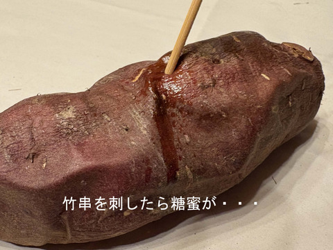 甘さをギュッと閉じ込めました！「焼き芋から作った干し芋」100ｇ×5ｐ