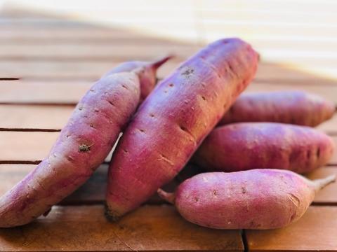 ♪心もカラダもホッとする♪なめらかシルクスイート5キロ