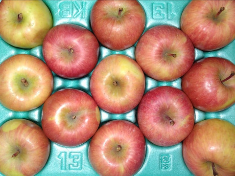 完売御礼【特別栽培りんご】蜜入り🍎こうとく2kg 葉とらずりんご 農薬50%減＋化学肥料不使用 希少品種　キズなし良品　ギフト