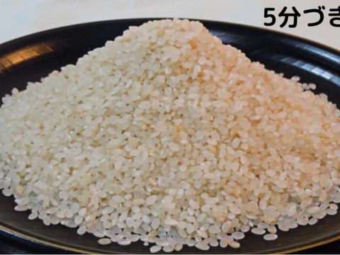2021新米！従来品種！新潟県妙高産　コシヒカリ【5分づき】＊1パック（約3合　450ｇ) < 全国一律送料 >　お試しセット
