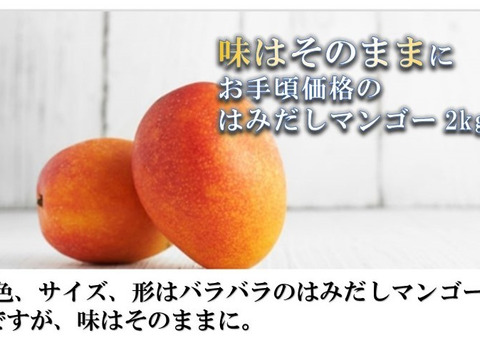 【フルーツの福袋】果汁がジュワッとあふれ出す！沖縄産完熟マンゴー(訳あり) 2kg