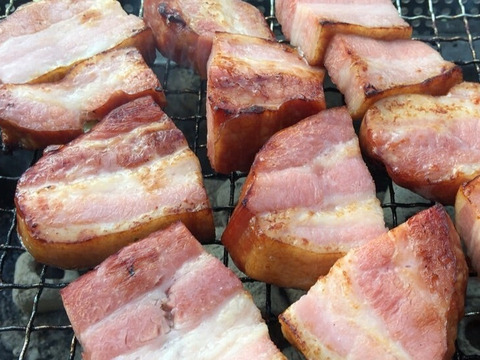 【訳アリ】賞味期限4月商品★ベーコンブロック