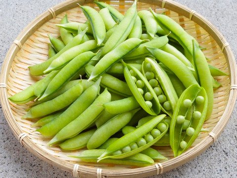 京都山城産　朝摘みうすいえんどう豆🫛　さや付き500g