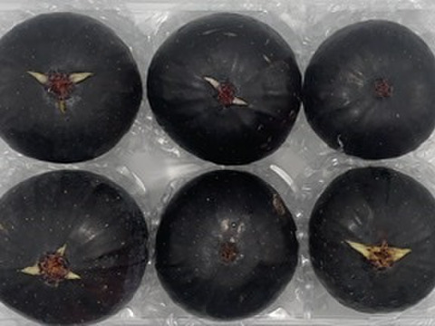 フランスの黒イチジク「ビオレソリエス」6個