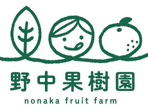 【2月中旬～発送】果汁たっぷりじゅわ～💕ハウス完熟せとか　3ｋｇ(8～15玉）×1箱