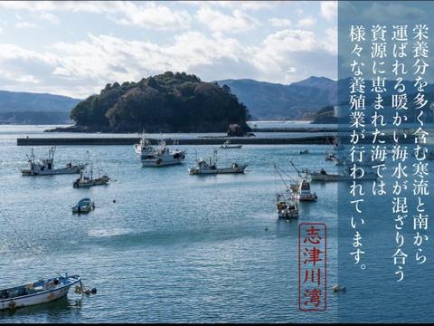 生食用　東北有数生牡蠣の名産地志津川より　ご注文受け付け後水揚げ！生食用　 箱込み真牡蠣10kg(kg/5〜8個)　ラムサール条約湿地志津川湾より漁師直送！
