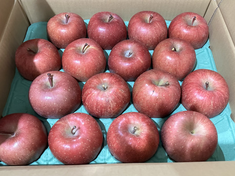 【販売開始！人気商品】青森県産りんご「サンふじ」家庭用 キズ有 約10kg(5kg×2箱) 【美味・光センサー選果済】