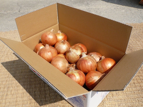 淡路島産玉ねぎ　１０kg　Awaji Fancy Onion