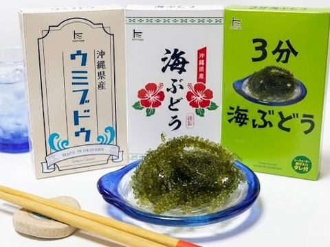 【長期保存可】水で戻る！塩水漬け海ぶどう（茎付き）
50g×10P