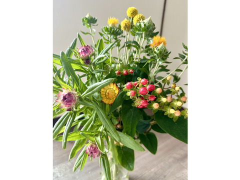 【長持ちシリーズ 〜暮らしを長く彩る花たち〜！20本】人気あり！花農家から直送！“長く寄り添う花束”です。生花として楽しんだ後は、そのままドライフラワーとしてもお楽しみいただけます。プレゼントOK!