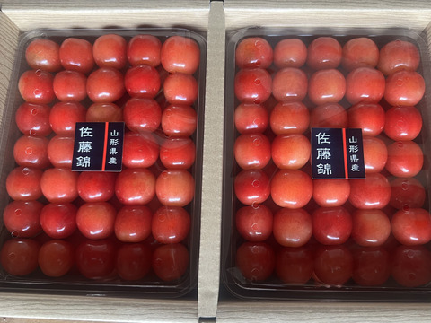 ☆特別価格☆山形県産さくらんぼ　佐藤錦　贈答用　500g