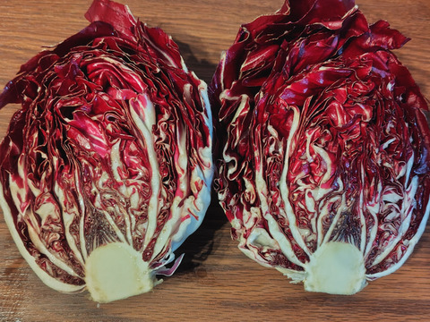 クセになるほろ苦さ！ラディッキオ（トレビス）2個