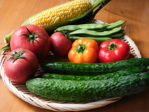 【福袋2025】八周年を記念した夏の高原野菜セット
