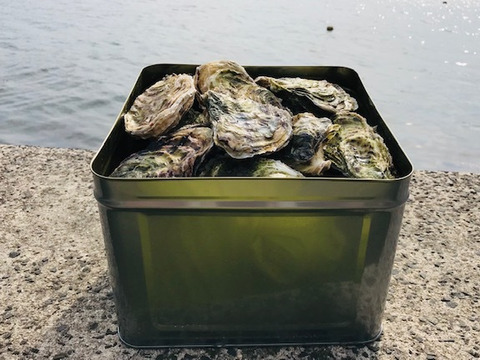奥能登！　里海の恵み！　穴水産　旨味が詰まった美味しい真牡蠣（加熱用）約６キロ　容器：缶
個数（約４０～４５個）