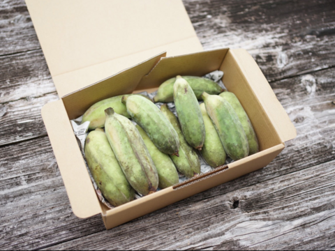沖縄産 有機ナムワバナナ(1.5kg)