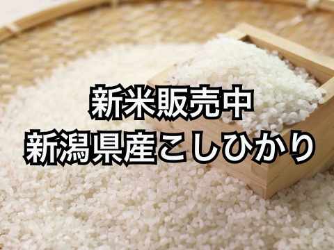 新米　令和5年産新潟コシヒカリ　白米5kg×4個★農家直送★色彩選別済05 新米 令和5年産新潟コシヒカリ 白米5kg×1個☆農家直送☆