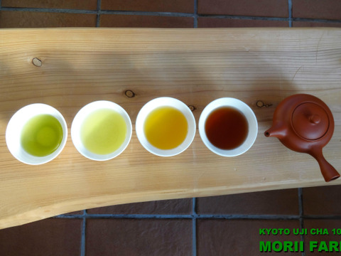 緑茶大好きセット！京都産 5種類の緑茶をお得なセットでどうぞ！それぞれの個性を楽しめます。（農薬・化学肥料・除草剤・畜産堆肥不使用）　【備考欄よりご依頼で贈呈用箱入り包装も承っております！】