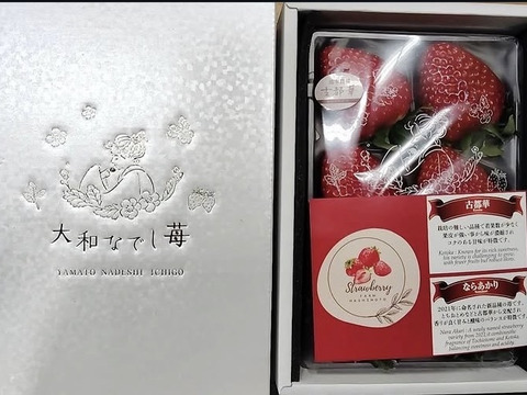 🏆いちごグランプリ　🏆いちご選手権受賞　大和なでし苺　古都華　6粒入り　特大　いちご　300g 奈良県　橋本農園　イチゴ 化粧箱　贈答用にも