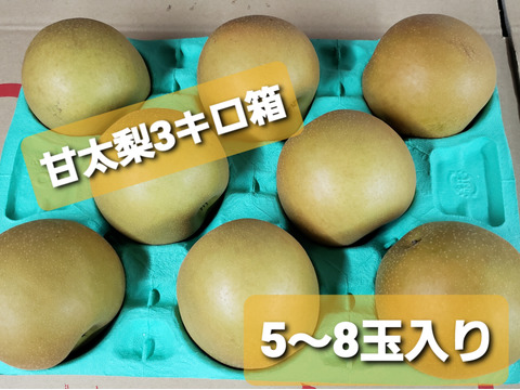 🍐味も形も新しい品種「甘太(かんた)」梨🍐3キロ箱
