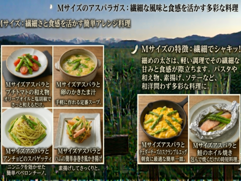 【今が旬！極上の夏芽】飯豊山の雪解け水が育んだ、朝どれ生アスパラガス1kg！