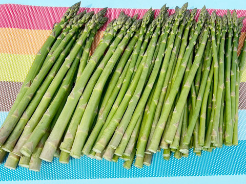 甘みに感動！アスパラ【大宝早生】たっぷり1.2kg