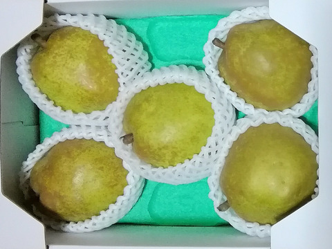 ラ・フランス高級大玉(化粧箱)贈答品2kg