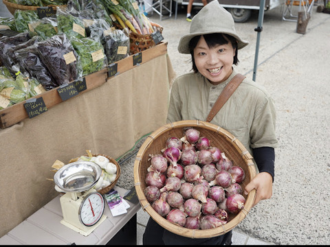 野菜ソムリエ厳選 農薬化学肥料不使用！
こだわり旬のお試し野菜セット！ 滋賀県産