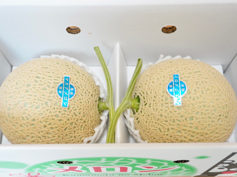 今季最終便【秋作】秀品マスクメロン3.2kg以上(1.6kg以上×2玉・くまモン箱入り)