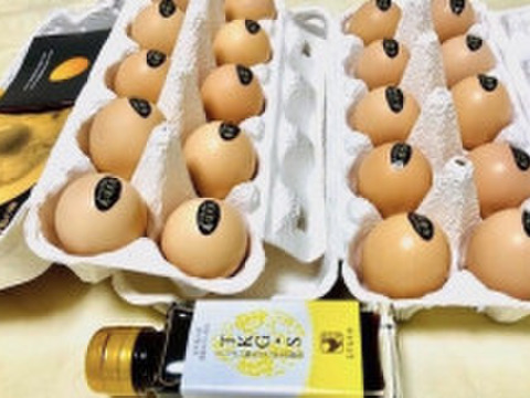 産みたて卵をお届け！稀少な烏骨鶏卵 20個と専用醤油の卵かけご飯セット【ギフトにもご自宅にも】