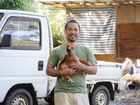 限定販売✨菊池の平飼い有精卵🥚
あっさり美味しい！！（２０個入り）✨