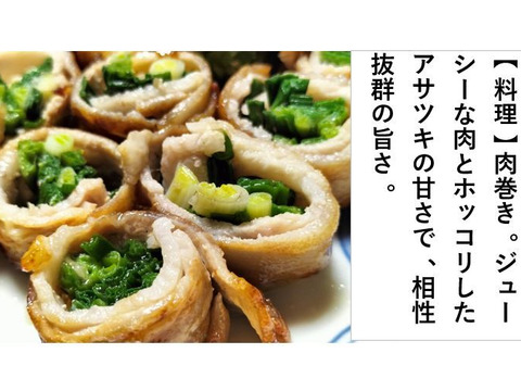 あさつき【キュルッと食感、ほっこりする甘さ】＜約800g＞