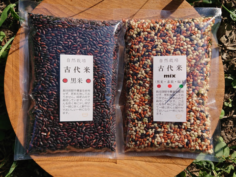 200ｇ×2　自然栽培　古代米　黒米＆3種ミックスセット