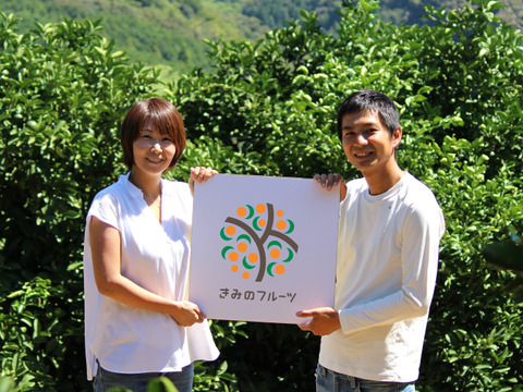 皮まで使える 和歌山県産レモン（防カビ剤不使用) 2kg