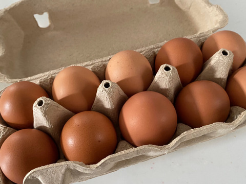 【単なる平飼いではない究極の卵】わたしたちのぷらいどたまご（60個入りケース）