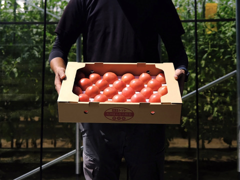 山の恵みがつくる大玉トマト 4kg箱詰め(20～28玉)