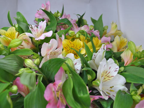 おまかせ花束　アルストロメリア