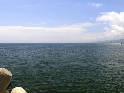 【超特大】黒ホッキ貝/北寄貝/北海道長万部/旨味と甘み濃厚/超特大/450-500g【5個】