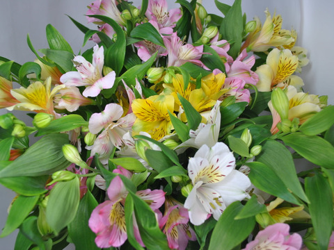 おまかせ花束　アルストロメリア