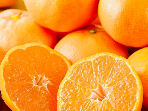 【冬ギフト】特選みかん5kg「熨斗対応可」