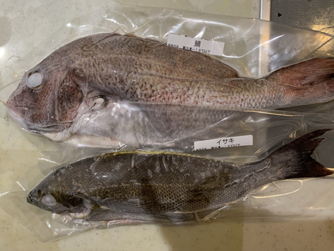 お刺身、焼き魚豪華おまかせBOX松12袋