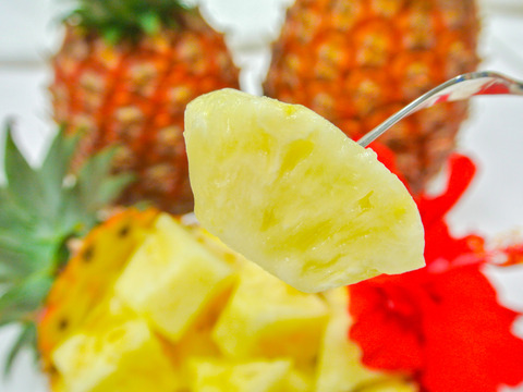 ピーチパイン発祥農園がつくる幻の完熟ピーチパイン！2㎏（3～4玉）