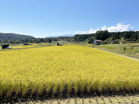 【新米】ゆめしなの  5kg 〈令和5年産〉長野県の標高の高い地域で栽培されているお米